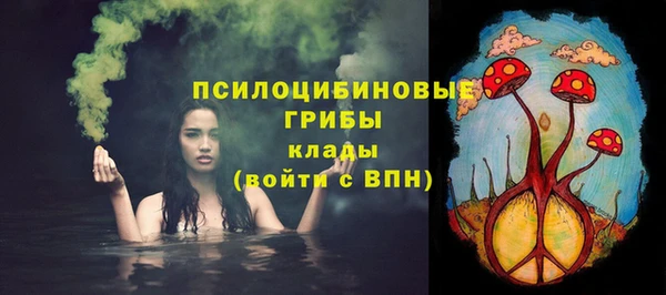 дурь Михайловск
