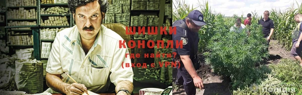 дурь Михайловск