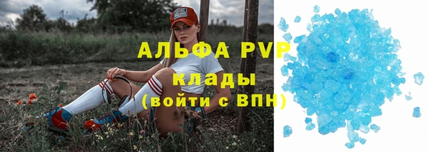 трава Надым