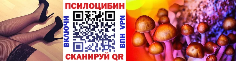 Галлюциногенные грибы Psilocybine cubensis  наркотики  мориарти официальный сайт  Мензелинск 